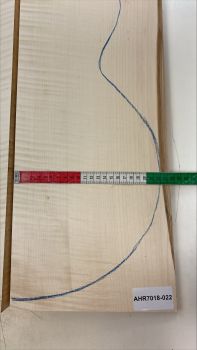 Boden & Zargen Ahorn, europ. Archtop Einzelstück #022